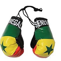 Senegal Senegalese Flag Mini Boxing Gloves Travel Souvenir Gifts