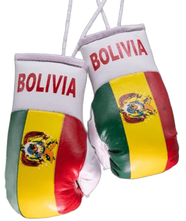 Bolivia Bolivian Flag Mini Boxing Gloves Travel Souvenir Gifts