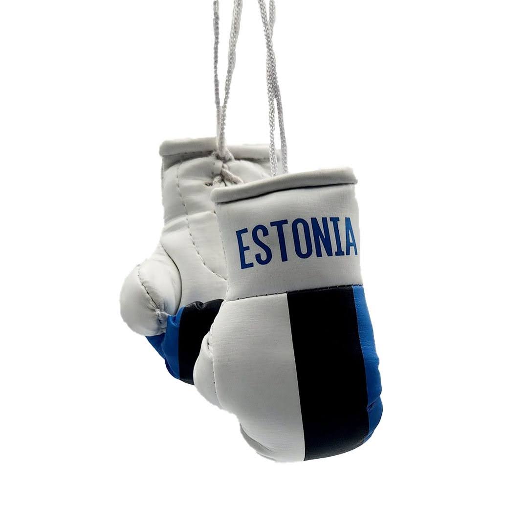 Estonia Estonian Flag Mini Boxing Gloves Travel Souvenir Gifts