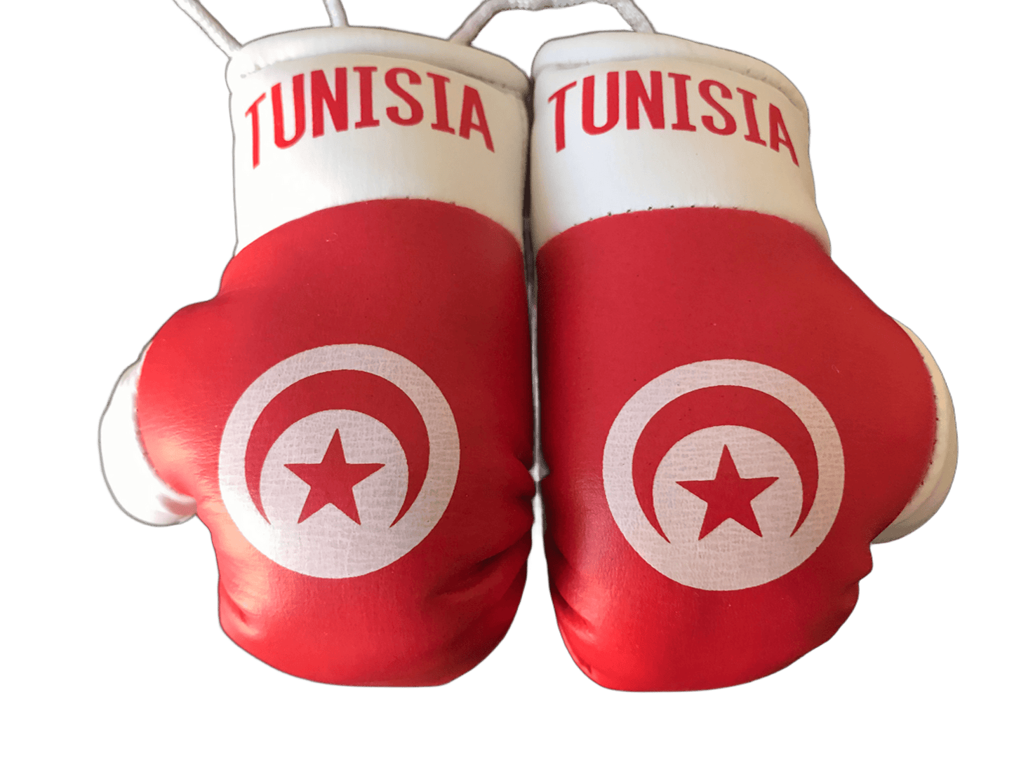 Tunisia Tunisian Flag Mini Boxing Gloves Travel Souvenir Gifts